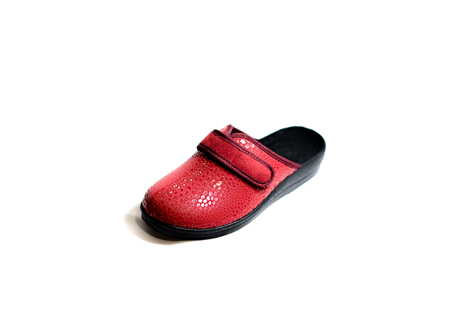 2012-PANTOFLA