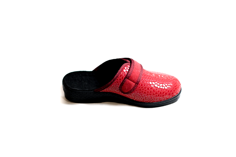 2012-PANTOFLA