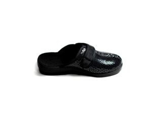 PANTOFLA-2012